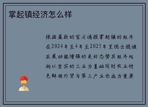 掌起镇经济怎么样